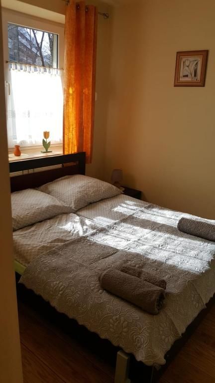 Апартаменты Apartament Stroma 4 Закопане