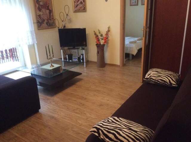 Апартаменты Apartament Stroma 4 Закопане-48